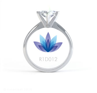 R1D012 product image