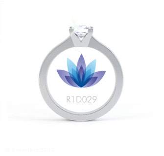 R1D029 product image