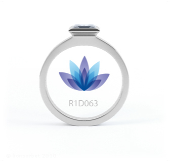 R1D063 product image