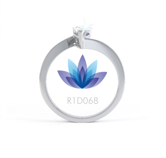 R1D068 product image