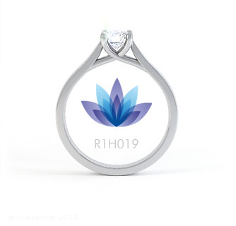 R1H019 product image