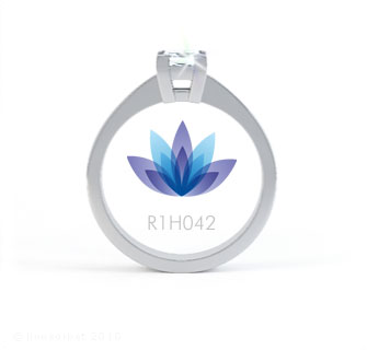 R1H042 product image