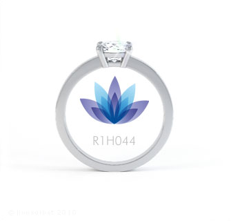 R1H044 product image