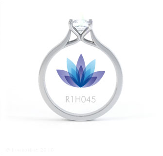 R1H045 product image