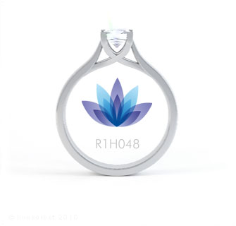 R1H048 product image