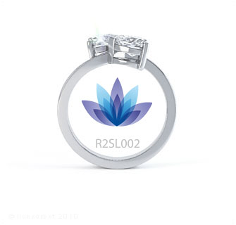 R2LS002 product image