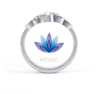 R8D001 product image