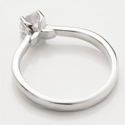 Side view of the Papillon ring design, showing the butterfly motif.