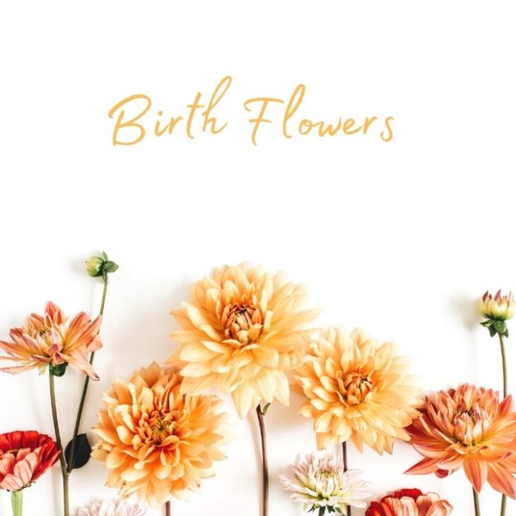 Birth Flowers Blog