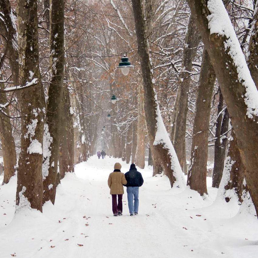 winter walk christmas proposal