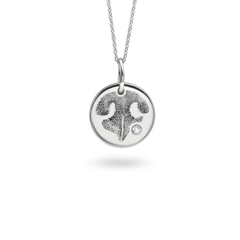 Necklace For Ashes Memorial Jewellery