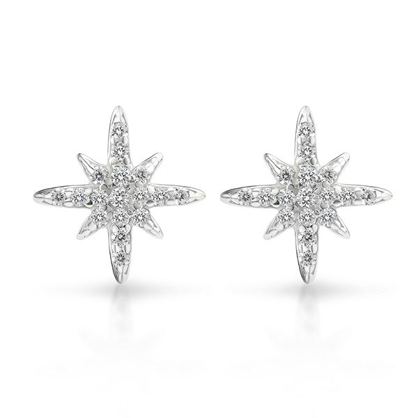 Star Earrings Silver Main Image