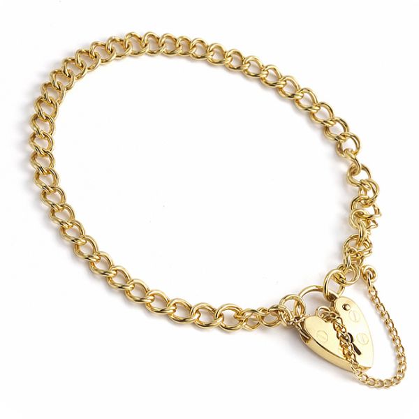 9ct Yellow Gold Double Curb Charm Bracelet Main Image