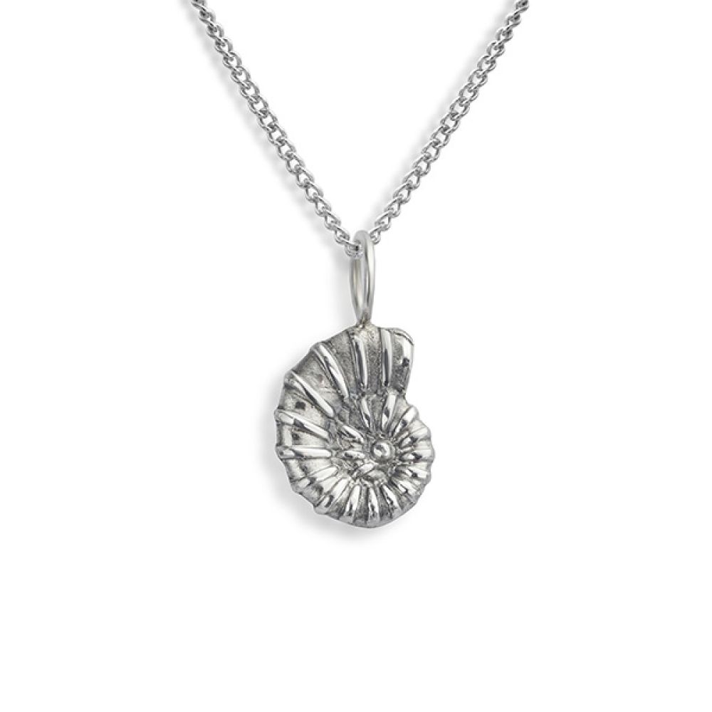 Compton mini ammonite necklace in Silver