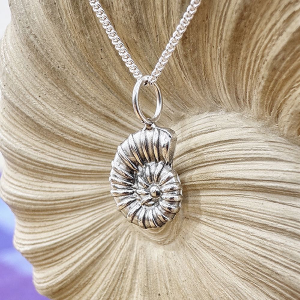 Compton Mini Ammonite Necklace - Isle of Wight Coastal Collection