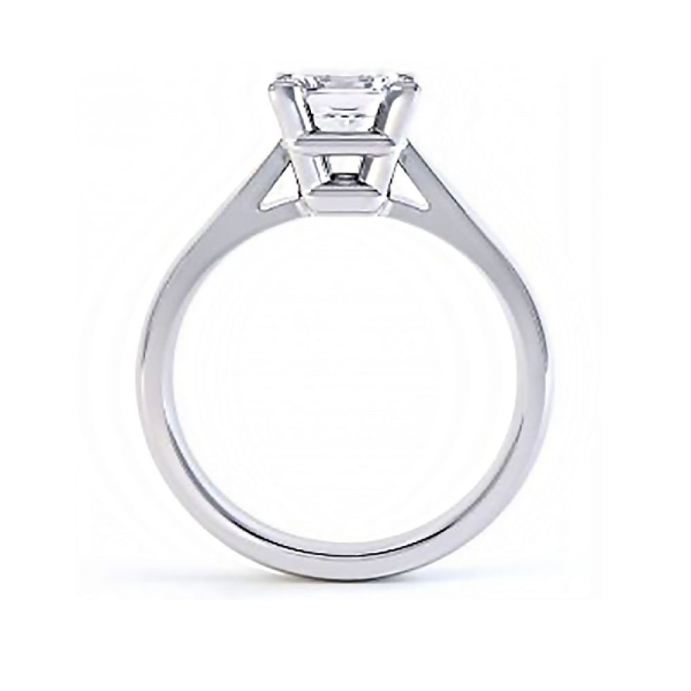 Side view of Ivy engagement ring R1D028 in white gold