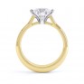 Naomi R1D022 side view yellow gold Naomi diamond engagement ring with compass setting side view in yellow gold