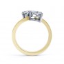 2 Stone Heart Shaped Diamond Engagement Ring Yellow Gold Side View 2 Stone Heart Shaped Diamond Engagement Ring Yellow Gold Side View