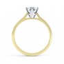 4 Claw Wedfit Compass Set Solitaire Ring Side View In Yellow Gold 4 Claw Wedfit Compass Set Solitaire Ring Side View In Yellow Gold