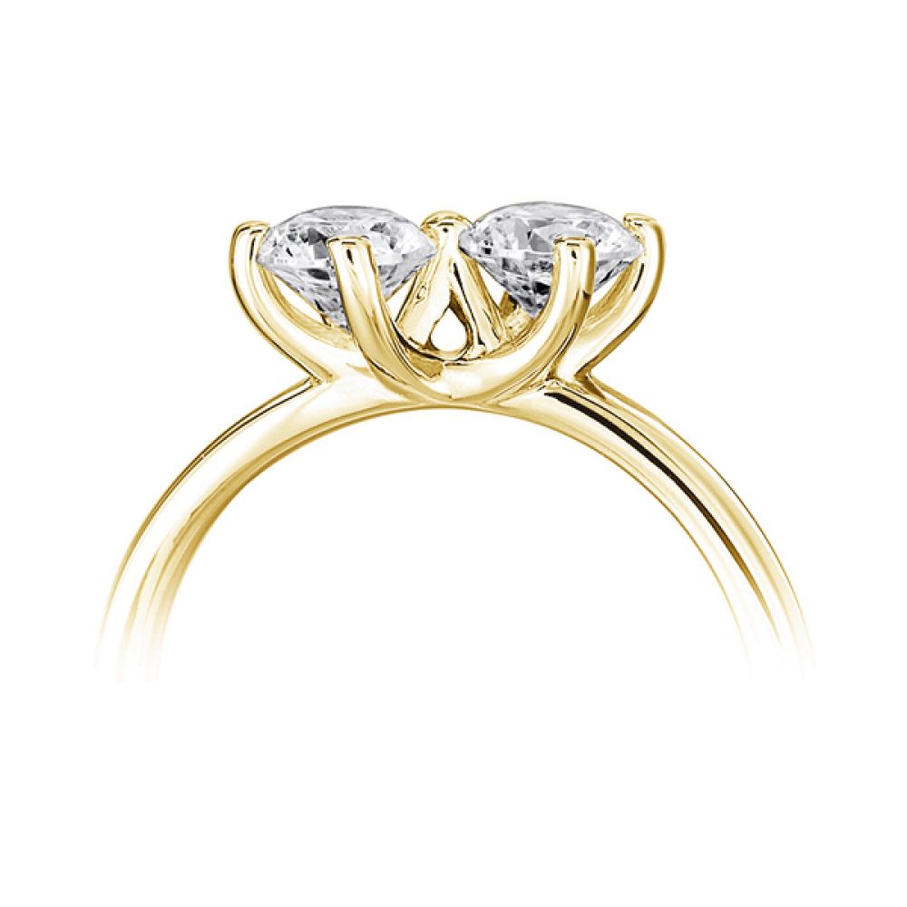 Two Diamond Twist Engagement Ring